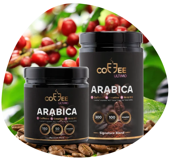 Your Daily Routine Redefined